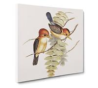 Yellow billed Kingfishers Bird by Elizabeth Gould Vintage Canvas Wall Art Print Ready to Hang, Framed Picture for Living Room Bedroom Home Office Décor, 14x14 Inch (35x35 cm)