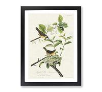 Yellow Breasted Warbler Birds By John James Audubon Vintage Framed Print | A3 Black Framed Wall Art | Ready to Hang | Classic Nature Picture | Living Room Bedroom Lounge Office