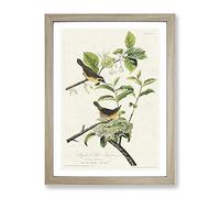 Yellow Breasted Warbler Birds By John James Audubon Vintage Framed Print | A4 Oak Framed Wall Art | Ready to Hang | Classic Nature Picture | Living Room Bedroom Lounge Office