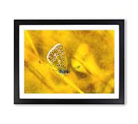 Yellow Butterfly Painting Modern Art Framed Print | A4 Black Framed Wall Art | Ready to Hang | Modern Animal Picture | Living Room Bedroom Lounge Office