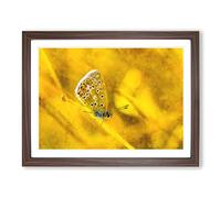 Yellow Butterfly Painting Modern Art Framed Print | A4 Walnut Framed Wall Art | Ready to Hang | Modern Animal Picture | Living Room Bedroom Lounge Office