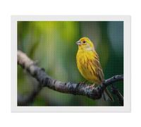 Yellow Canary Funny Diamond Art Painting Kit