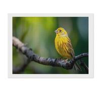 Yellow Canary Funny Diamond Art Painting Kit