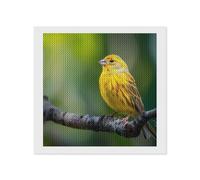 Yellow Canary Funny Diamond Art Painting Kit