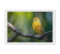 Yellow Canary Funny Diamond Art Painting Kit