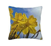 Yellow Daffodil Print Cushion Covers,Square Pillow Case Home Decorative For Men/Women Living Room Bedroom Sofa Chair 24"X24"