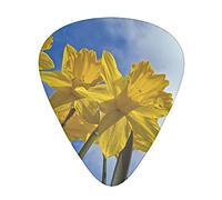 Yellow Daffodil Printed Guitar Picks With Organizer Storage Box 0.46 0.71 0.96 Mm Includes Thin Medium Heavy For Bass Electric Acoustic Guitars Ukulele 12 Pack