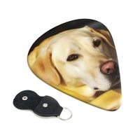 Yellow Dog 6 Pack Guitar Picks With Holder, Personalized Guitar Plectrums Non-Slip Portable Ukulele Bass Picks 0.96mm For Acoustic Guitar Lovers Gifts