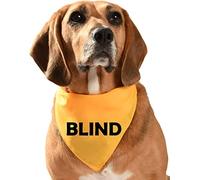 YELLOW DOG BANDANA - BLIND DOG - FOR VISUALLY IMPAIRED AND BLIND DOGS - MADE IN UK TO ORDER size jumbo