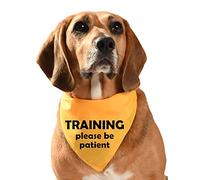 YELLOW DOG BANDANA - TRAINING PLEASE BE PATIENT SIZE REGULAR - MADE IN UK TO ORDER - 3 SIZES