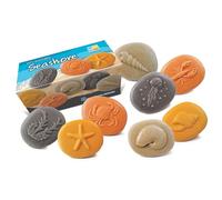 Yellow Door Let’s Investigate Seashore | Set of 8 stones for sand, water and messy play| Early educational learning |Ocean STEM kit | kids age 2,3,4,5 | Outdoor shell, crab, jellyfish toys