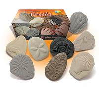 Yellow Door Let's Investigate - Fossils | Early educational learning |STEM| fossil dig for kids age 2,3,4,5 | dinosaur fossils |excavation set | Outdoor science toys |ammonite, trilobite | Messy play