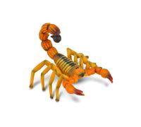 Yellow Fat-Tailed Scorpion