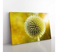 Yellow Flower Globe Thistle No.2 Modern Canvas Wall Art Print Ready to Hang, Framed Picture for Living Room Bedroom Home Office Décor, 76x50 cm (30x20 Inch)
