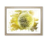 Yellow Flower Globe Thistle No.2 V3 Modern Framed Print | A3 Oak Framed Wall Art | Ready to Hang | Modern Map Picture | Living Room Bedroom Lounge Office