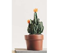 Yellow Flowering Cactus Journal: 150 page lined 6 x 9 notebook/diary/journal