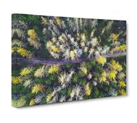 Yellow Forest In Austria Canvas Print | Gallery Wrapped 30mm Frame Wall Art | 24x16 inches | Ready to Hang | Modern Landscape Picture | Living Room Bedroom Lounge Office