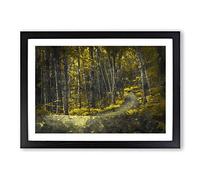 Yellow Forest in Connecticut Framed Print | A2 Black Framed Wall Art | Ready to Hang | Modern Landscape Picture | Living Room Bedroom Lounge Office