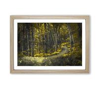 Yellow Forest in Connecticut Framed Print | A2 Oak Framed Wall Art | Ready to Hang | Modern Landscape Picture | Living Room Bedroom Lounge Office