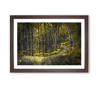 Yellow Forest in Connecticut Framed Print | A2 Walnut Framed Wall Art | Ready to Hang | Modern Landscape Picture | Living Room Bedroom Lounge Office