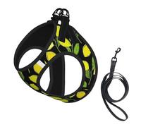 Yellow Fresh Lemons Print Small Dog Harness And Leash Set, Adjustable Soft Vest With 360° Reflective Straps For Cats Puppy