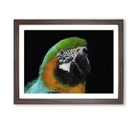 Yellow & Green Macaw Parrot In Abstract Modern Art Framed Print | A4 Walnut Framed Wall Art | Ready to Hang | Abstract Animal Picture | Living Room Bedroom Lounge Office