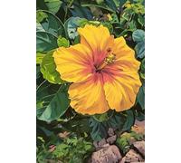 Yellow Hibiscus Lined Notebook - 6x9 | Hawaiian Flower Journal