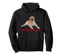Yellow Lab Did You Say Ball Labrador Lover Dog Pet Owner Pullover Hoodie
