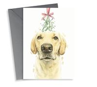 Yellow Labrador Christmas Card