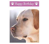 Yellow Labrador, Dog Birthday Card