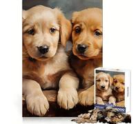 Yellow Labrador Puppies 1000 Pieces Jigsaw Puzzles for Teenagers Think Training Mindful Escape Defined Edges Seasonal Gift (38x52cm)