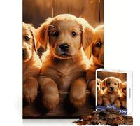 Yellow Labrador Puppies for Adults 1000 Piece Jigsaw Puzzle Mental Exercise Serene Escape Snug Lock (50x75cm)