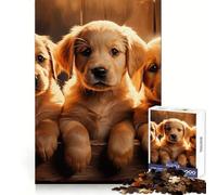 Yellow Labrador Puppies Jigsaw Puzzle for Adults 1000 Pieces Creative Think Stress Relief Fun Exact Edges Thoughtful Xmas (38x26cm)