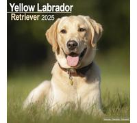 Yellow Labrador Retriever 2025 Square Wall Calendar | Dog Breed Calendar the New