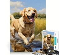 Yellow Labrador Retriever Adult Jigsaw1000 Pieces Mind Boost Game Premium Laser Cut Quality Relaxing Indoor Group Activity (38x26cm)