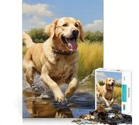Yellow Labrador Retriever Adults 1000 Piece Jigsaw Puzzle Focus Memory Game Zero Gap Compact Fun for Family Game Time (38x52cm)