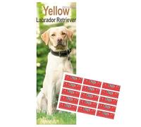 Yellow Labrador Retriever Calendar 2026 Slimline Calendar with FREE Organisational Stickers