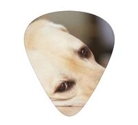 Yellow Labrador Retriever Print,12 Pcs Guitar Pick,3 Different Thickness Plectrums for Acoustic Guitar Bass Ukulele (0.46mm 0.96mm 0.71mm)
