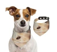 Yellow Labrador Retriever Print,Dog Bandanas Cotton Pet Scarf Adjustable Bibs for Pet,L
