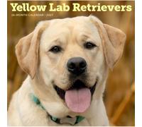 Yellow Labrador Retrievers Calendar 2027, Wall Calendars, Gift