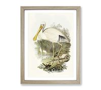 Yellow Legged Spoonbill Birds By Elizabeth Gould Vintage Framed Print | A2 Oak Framed Wall Art | Ready to Hang | Classic Nature Picture | Living Room Bedroom Lounge Office