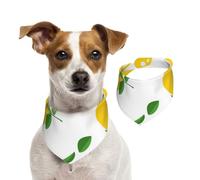 Yellow Lemon,Pet Bib Scarf Cats Dog Bandana Dogs Towel Bib Adjustable Pet Scarf,M