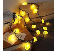 Yellow Lemon Slice Decor Lights Lemon Green Leaf Vine Fairy Lights 20LED Battery Powered Fruit Garland Lamp for Kitchen Patio Fence Camping Holiday Party Summer Decoration (Lemon with Leaf, 3M/20LED)