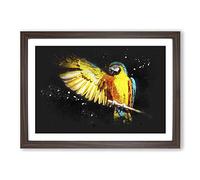 Yellow Macaw Parrot Paint Splash Framed Print | A2 Walnut Framed Wall Art | Ready to Hang | Modern Animal Picture | Living Room Bedroom Lounge Office