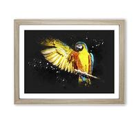 Yellow Macaw Parrot Paint Splash Modern Art Framed Print | A3 Oak Framed Wall Art | Ready to Hang | Modern Animal Picture | Living Room Bedroom Lounge Office