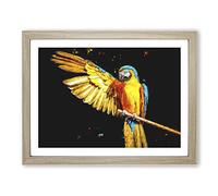 Yellow Macaw Parrot Painting Modern Art Framed Print | A4 Oak Framed Wall Art | Ready to Hang | Modern Animal Picture | Living Room Bedroom Lounge Office
