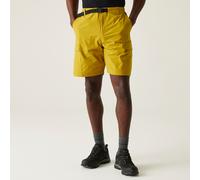 Yellow male L Regatta Men's Mallen Shorts Yellow, Size: L