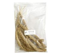 Yellow Millet Sprays Parrot Treat, 250g, Natural Bird Food