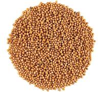 Yellow Mustard Seeds Whole - White Mustard Seed Spicy Ingriedient - 700g