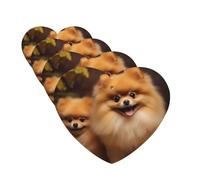 Yellow pomeranian Car Air Fresheners Cards 4 Pcs Hanging Fragrance Scented Cards Long-Lasting Car Aromatherapy Tablets for Wardrobe Bathroom Car Interior Mirror Pendant Gifts